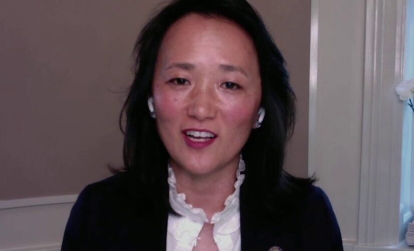 CT lawmaker rejects bill declaring racism a public health crisis: ‘Critical race theory’ in our laws
