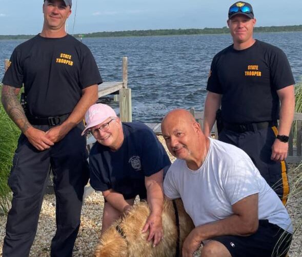 Golden retriever missing for 2 weeks found swimming in NJ bay; rescued by state police