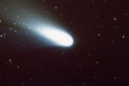 ‘Mega comet’ discovered flying into solar system: scientists