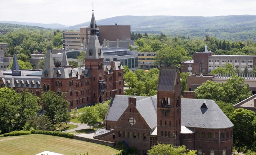 Cornell course teaches black holes could be linked to ‘racial Blackness’