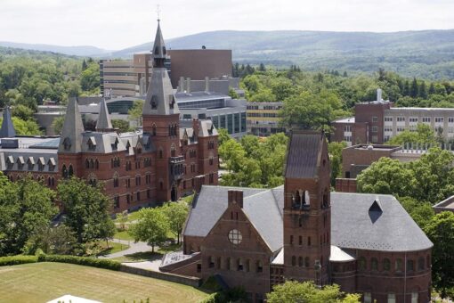 Cornell course teaches black holes could be linked to ‘racial Blackness’
