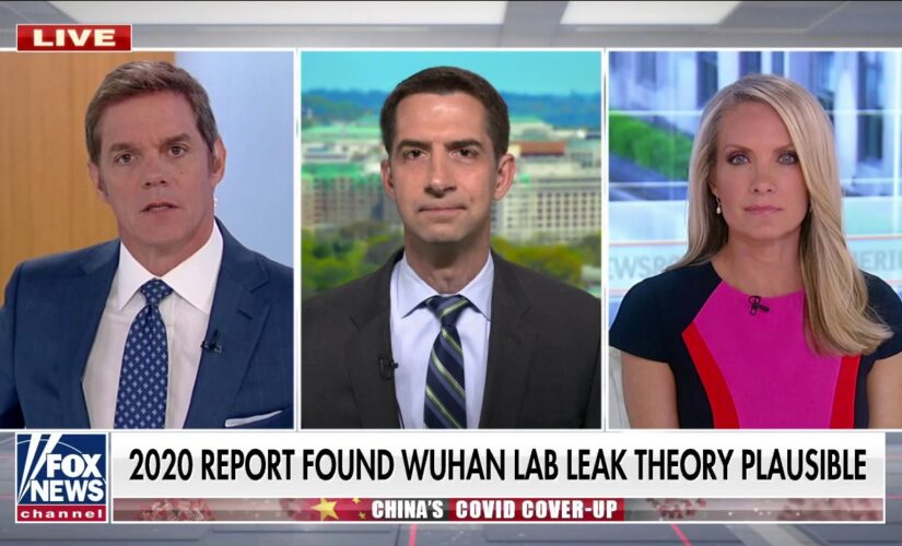 Tom Cotton on dismissal of lab leak theory: Media, Hollywood ‘deeply in the pocket’ of Communist China