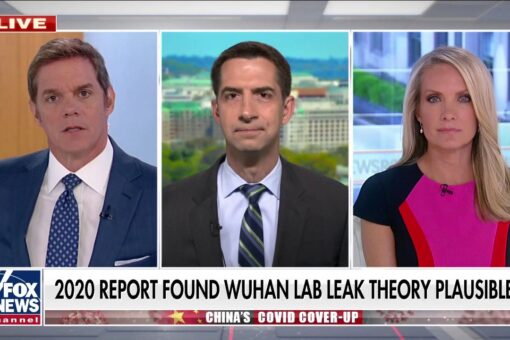 Tom Cotton on dismissal of lab leak theory: Media, Hollywood ‘deeply in the pocket’ of Communist China