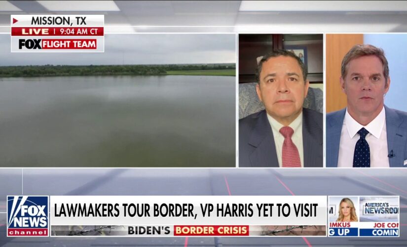 Democrat Rep. Cuellar says Biden, Harris should visit southern border to see migrant surge