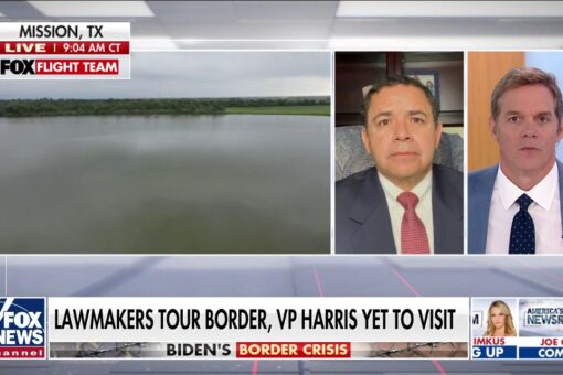 Democrat Rep. Cuellar says Biden, Harris should visit southern border to see migrant surge