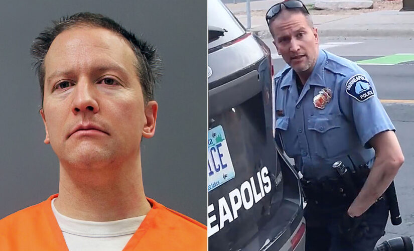 Turley: George Floyd case observers should find 22 years for Chauvin ‘a fair sentence’