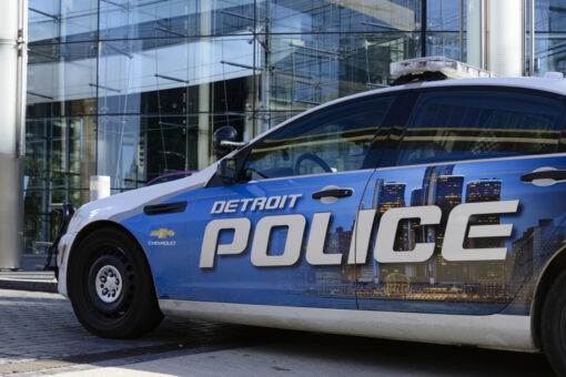 Michigan police reform bill would require officers be trained in Brazilian jiu-jitsu, some form of ‘grappling’