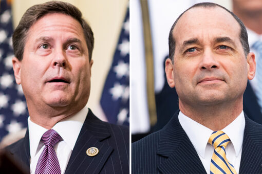 Republicans demand apology after Democrat calls congressman ‘racist’ for CRT questions