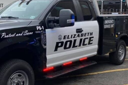 New Jersey boy boy mauled to death by family dogs after falling from window, police say
