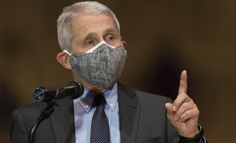 Wall Street Journal editorial: ‘Reasonable to ask’ why Fauci was slow to accept coronavirus lab-leak theory