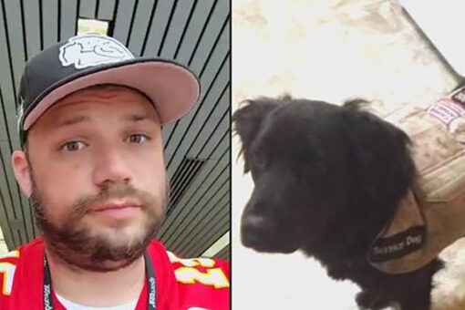 Disabled Marine Corps veteran says he was kicked off Chicago flight because of service dog: report