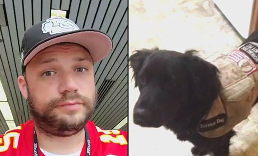 Disabled Marine Corps veteran says he was kicked off Chicago flight because of service dog: report