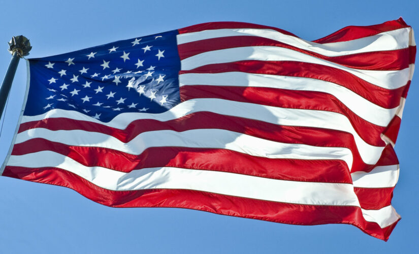 Singer Macy Gray argues US needs a ‘new flag’ to replace ‘tattered, dated, divisive’ Old Glory