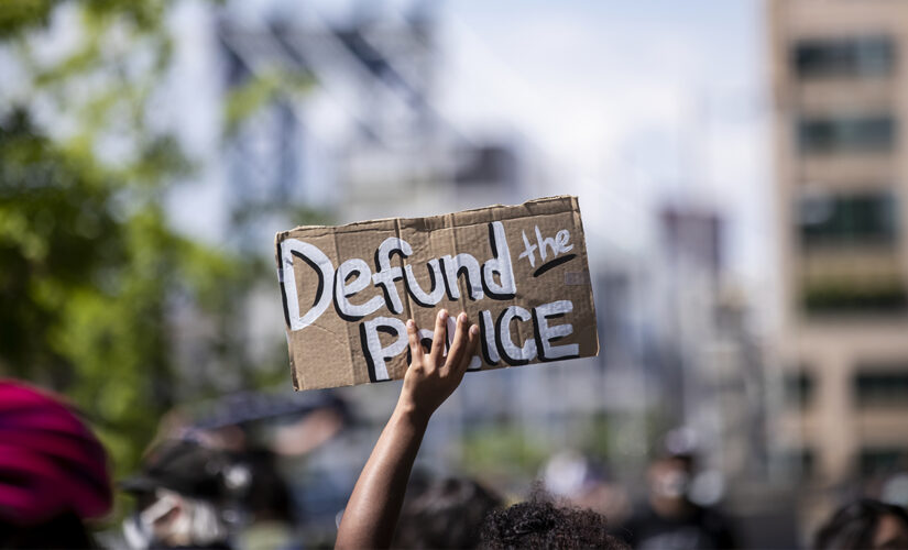 Criminal justice professor says calls to defund the police ’emboldened criminals’