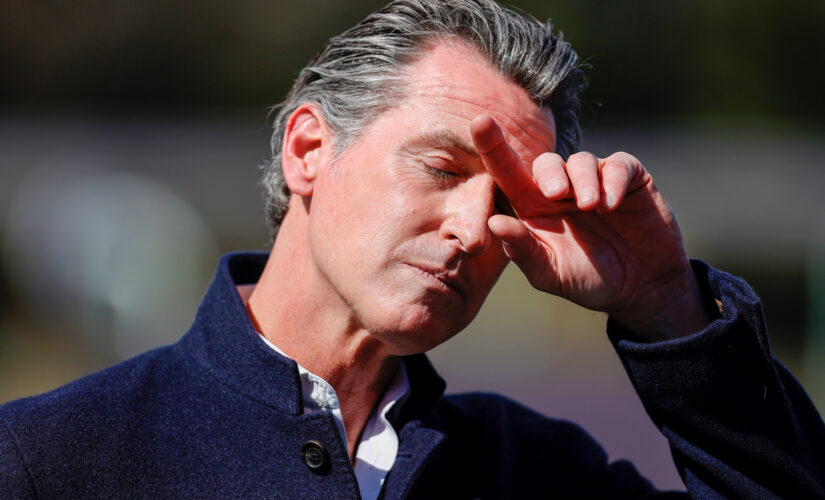 NPR finds Gavin Newsom ‘misled,’ ‘overstated’ California wildfire prevention efforts: ‘Response has faltered’