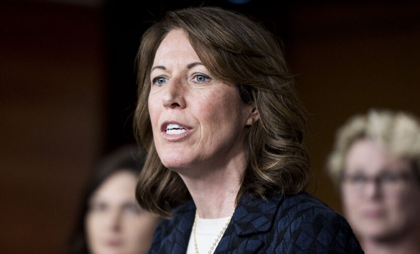 Dem Rep. Axne invokes Civil War while trying to defend HR 1