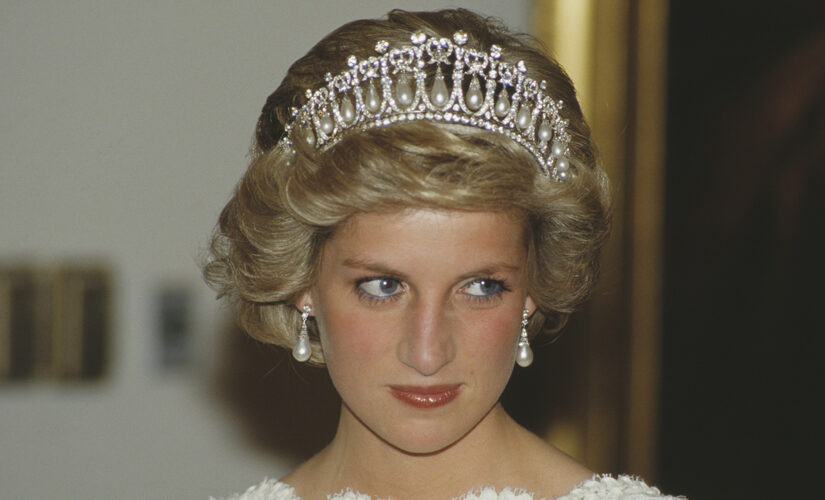 Princess Diana ‘gave the right image’ as a royal who continues to inspire Prince William, Prince Harry: author