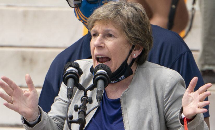 Randi Weingarten ‘incredibly disappointed’ NYC Dem frontrunners for mayor embracing school choice