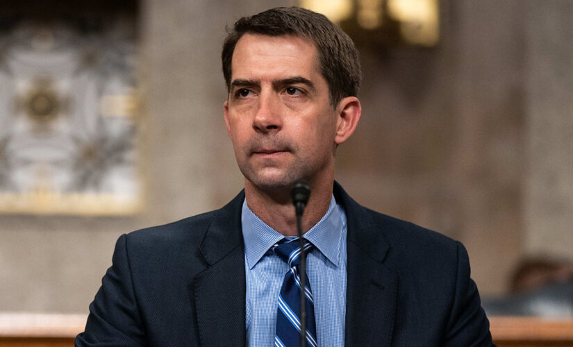 Sen. Cotton argues Biden’s picks of Clarke, Gupta to lead DOJ reveals his support of decreasing police funding