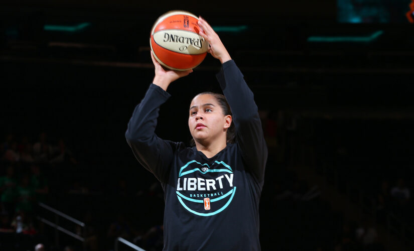 Former WNBA star arrested, facing multiple charges: report