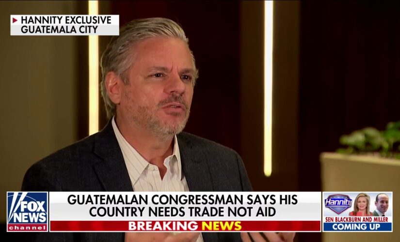 Guatemalan congressman calls for US to offer ‘trade not aid’ to solve illegal immigrant crisis