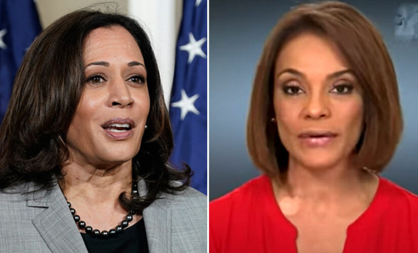 Kamala Harris snaps at Univision anchor while pressing VP on when she will visit border: ‘I’m not finished’