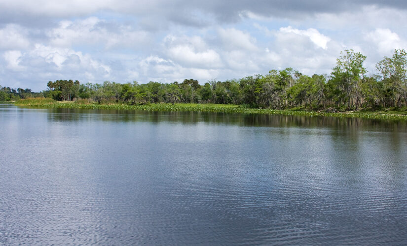 Boy, 7, swims an hour to rescue his dad and little sister