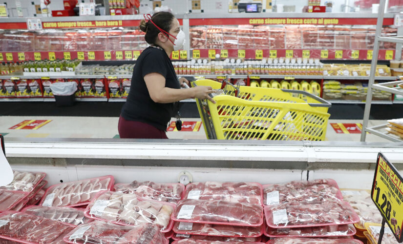 Senate GOP reelection committee chair says Americans ‘scared to death’ over inflation