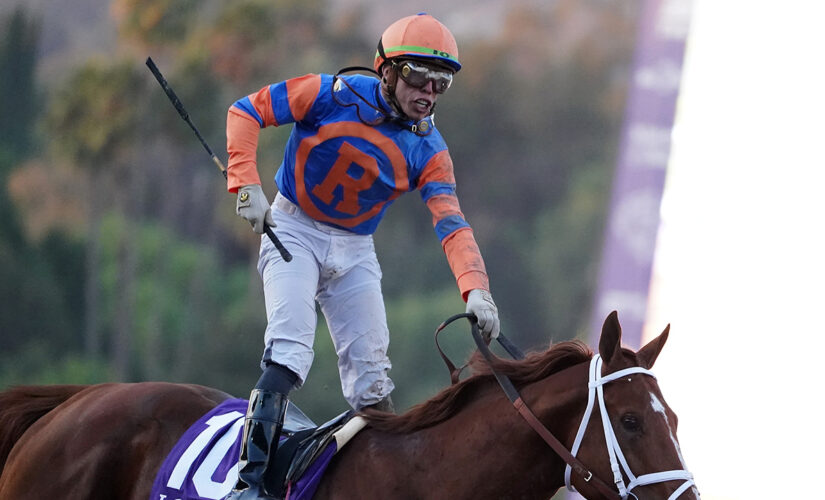 Jockey Irad Ortiz Jr. to miss Belmont Stakes after being tossed by horse, trampled by another