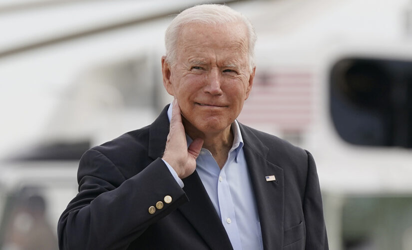 Biden swats cicada off neck before Europe trip: ‘Watch out’