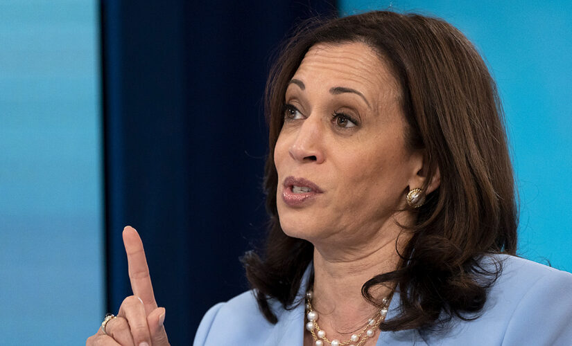 Larry Elder: Vice President Harris, when will you talk about the ‘root cause’ of homicides in our cities?