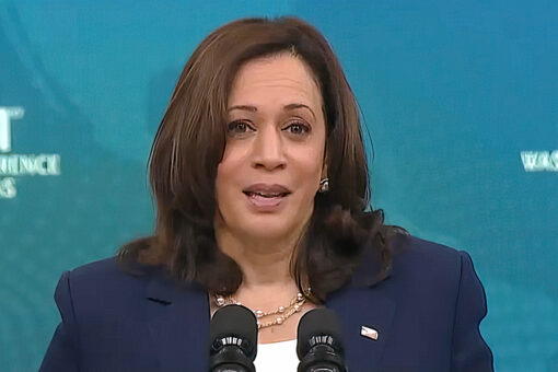 MSNBC guest claims ‘off the charts’ criticism of VP Harris on border from left and right is sexist and racist