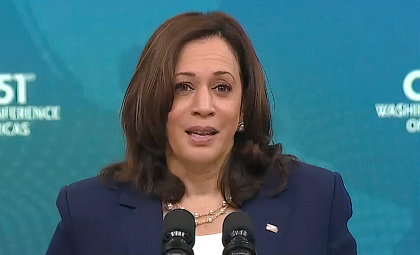MSNBC guest claims ‘off the charts’ criticism of VP Harris on border from left and right is sexist and racist