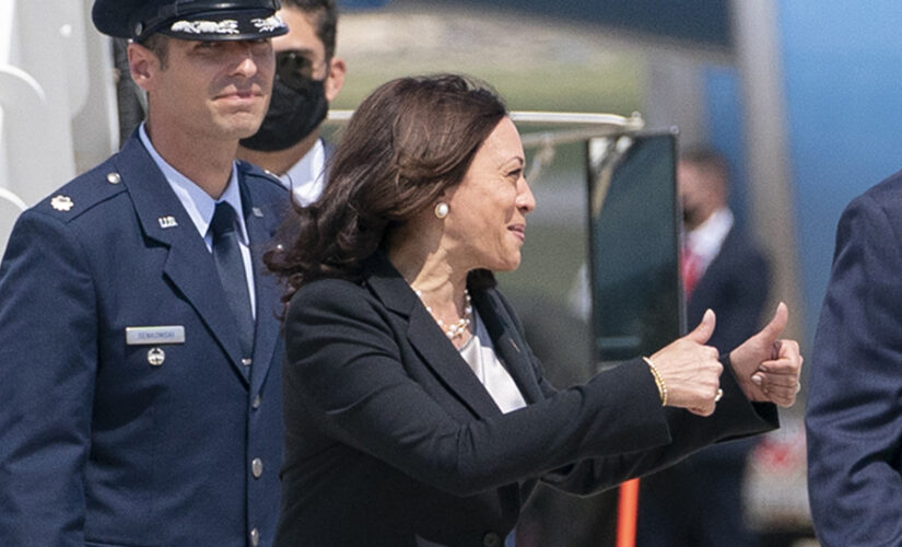 Kamala Harris forced to return to Maryland on way to Guatemala due to ‘technical issue’