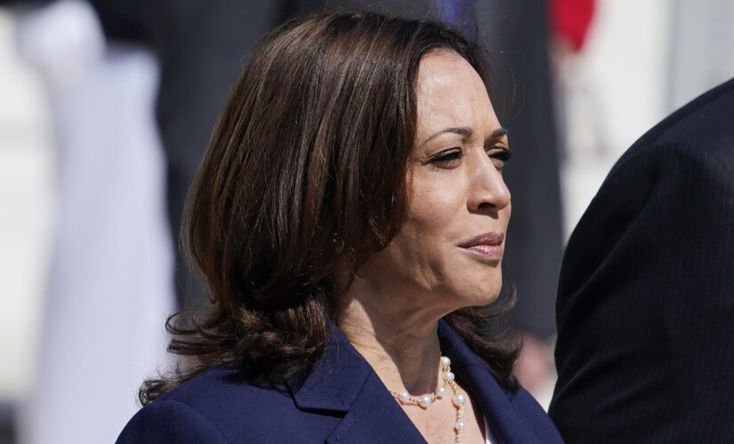 CNN panel reacts to Vice President Harris’ ‘cringeworthy’ border answer