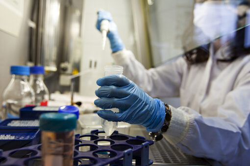 ‘Damning’ science shows COVID-19 likely engineered in lab: experts