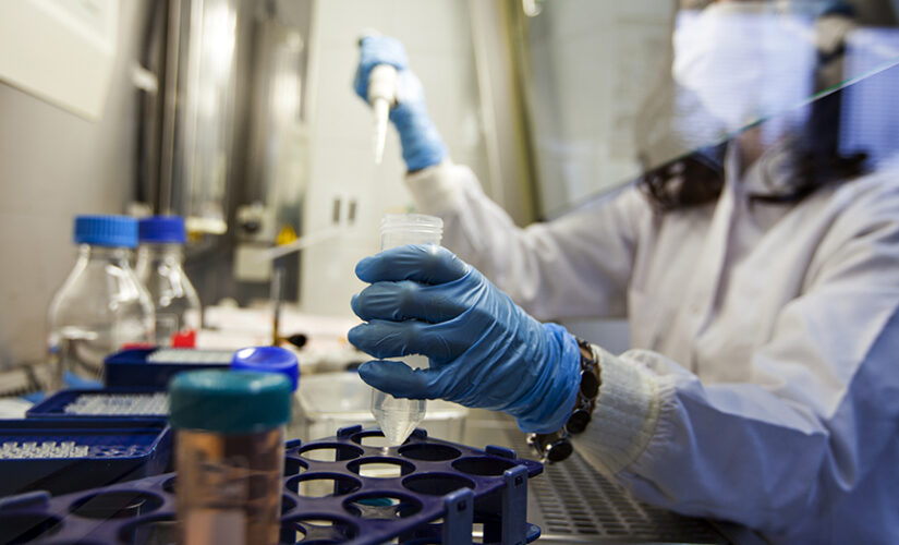 ‘Damning’ science shows COVID-19 likely engineered in lab: experts