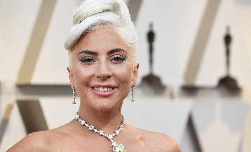 Lady Gaga strikes a pose in plunging camisole for latest Instagram post