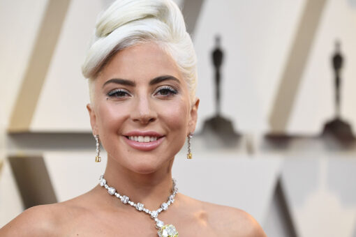 Lady Gaga strikes a pose in plunging camisole for latest Instagram post