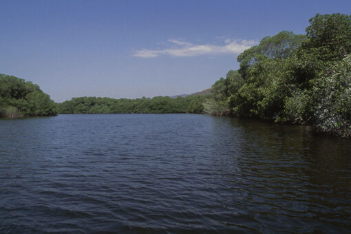 Woman in coma after crocodile attack, twin sister hospitalized in Mexico