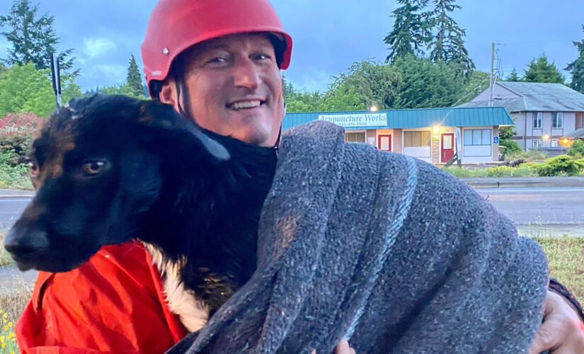 Oregon firefighters rescue injured dog stranded in canal