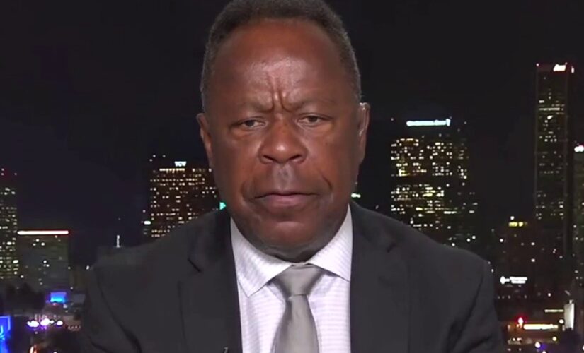 Leo Terrell slams professors who claim ‘standard English’ is racist: ‘I find it insulting’