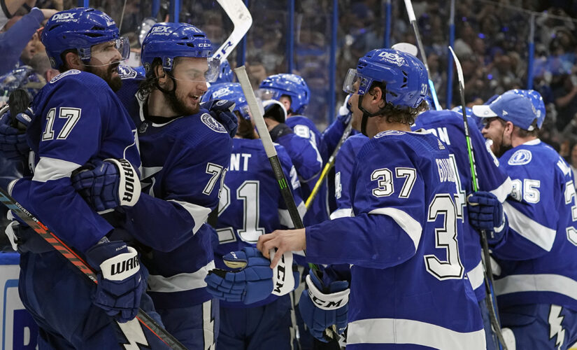 Lightning back in Stanley Cup Final thanks to Yanni Gourde, Andrei Vasilevskiy