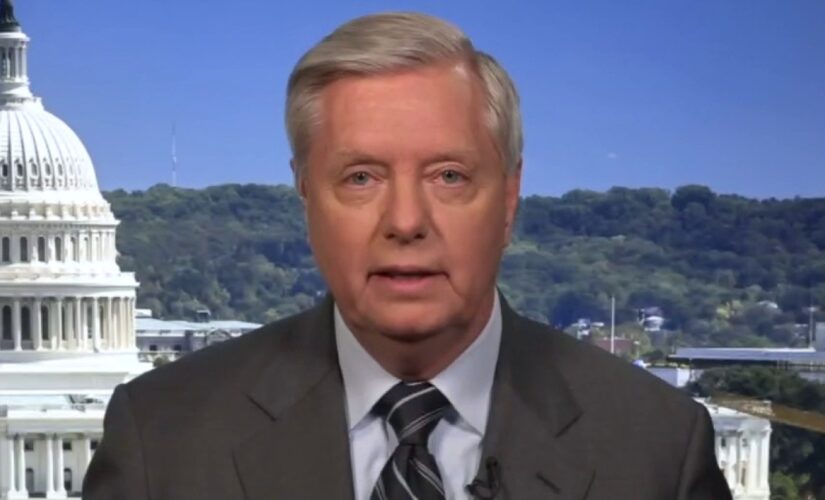 Graham: Dems’ voting bill is ‘biggest power grab’ in US history, will not support Manchin compromise