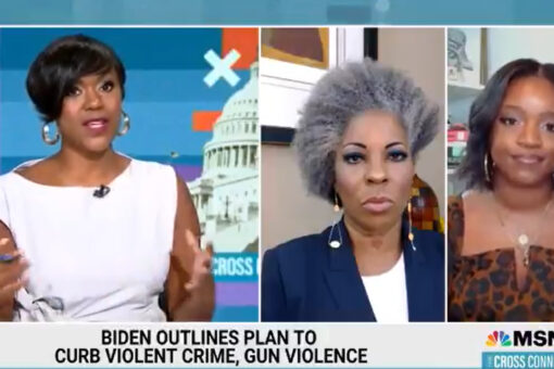 MSNBC guest blames ‘cowardly’ police for rising crime, claims they are ‘butthurt’