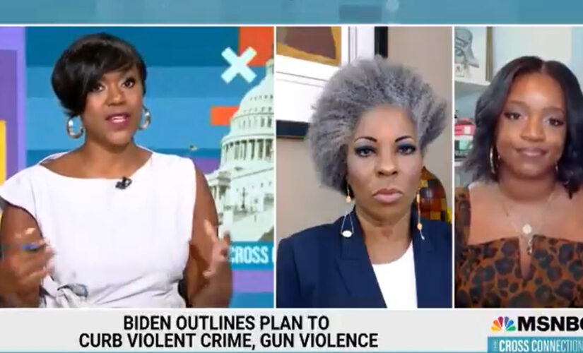 MSNBC guest blames ‘cowardly’ police for rising crime, claims they are ‘butthurt’