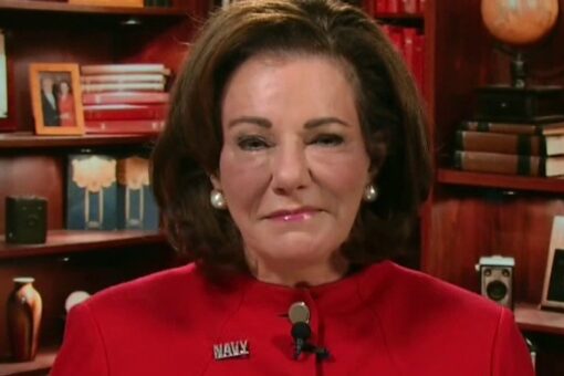 McFarland skewers media, ‘tech titans’ for dismissing Wuhan lab theory: ‘The Blame America First lobby’