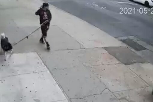 NYC men arrested in separate incidents of trying to lure young kids with candy, dog: police
