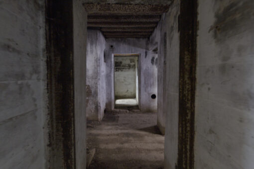 Possible mass grave found near Auschwitz death camp in Poland