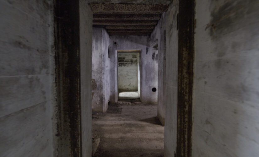 Possible mass grave found near Auschwitz death camp in Poland